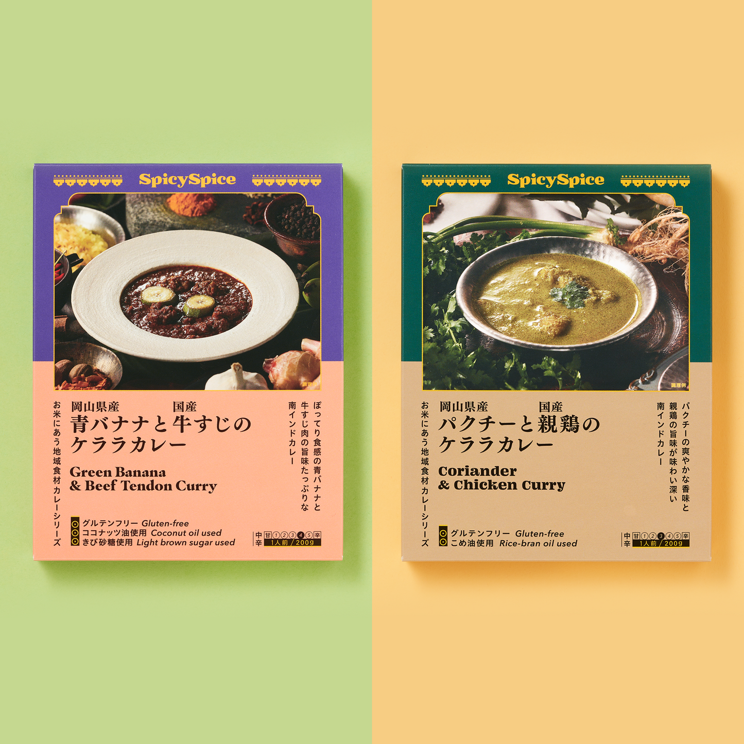 グルテンフリーケララカレー2種【青バナナ牛すじカレー&岡パク親鶏カレー】